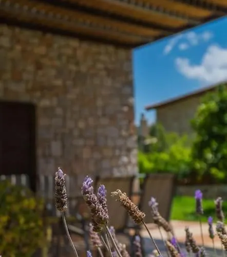 Vicina - In Platanias And 4min By The 别墅 *